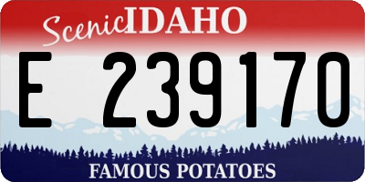 ID license plate E239170