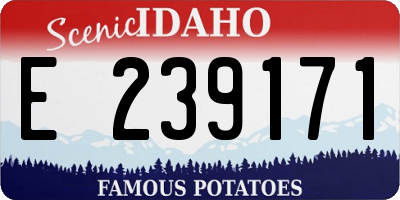 ID license plate E239171