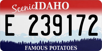 ID license plate E239172