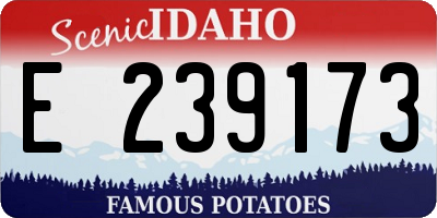 ID license plate E239173