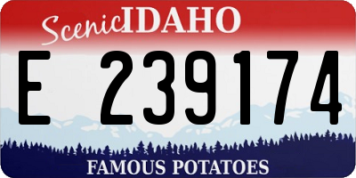 ID license plate E239174