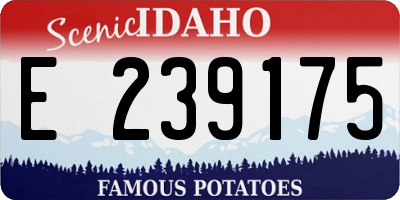 ID license plate E239175