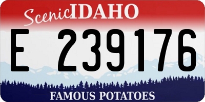 ID license plate E239176