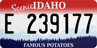 ID license plate E239177