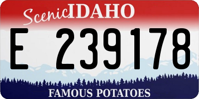 ID license plate E239178