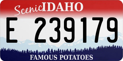 ID license plate E239179