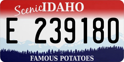 ID license plate E239180