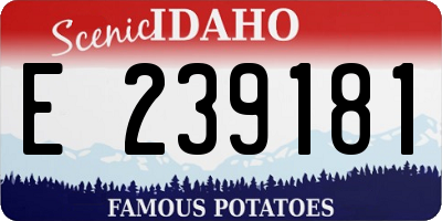 ID license plate E239181