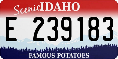 ID license plate E239183