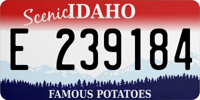 ID license plate E239184