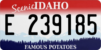 ID license plate E239185