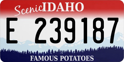 ID license plate E239187