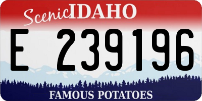 ID license plate E239196