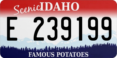 ID license plate E239199
