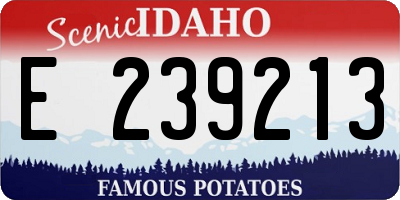 ID license plate E239213