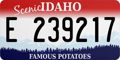 ID license plate E239217