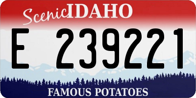 ID license plate E239221