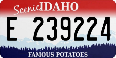ID license plate E239224