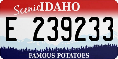 ID license plate E239233