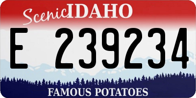 ID license plate E239234