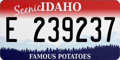 ID license plate E239237