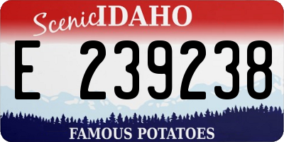 ID license plate E239238