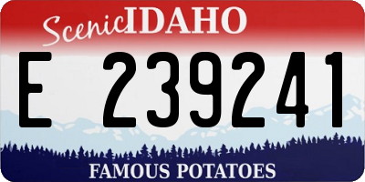 ID license plate E239241