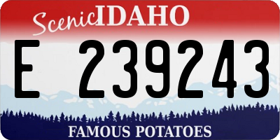 ID license plate E239243