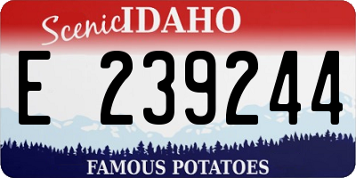 ID license plate E239244