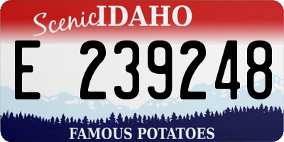 ID license plate E239248