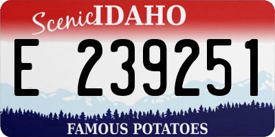 ID license plate E239251