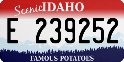 ID license plate E239252