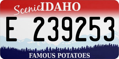 ID license plate E239253