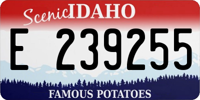 ID license plate E239255