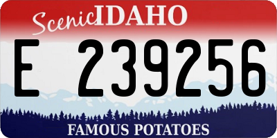 ID license plate E239256