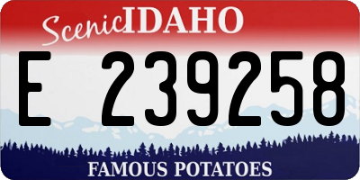 ID license plate E239258