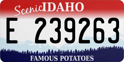 ID license plate E239263