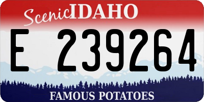 ID license plate E239264