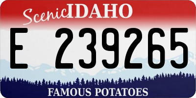 ID license plate E239265