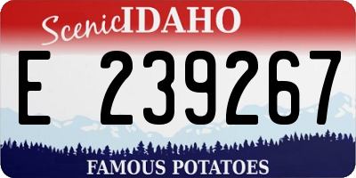 ID license plate E239267