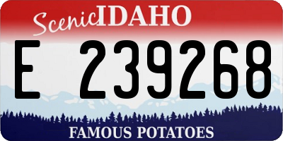 ID license plate E239268
