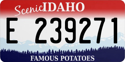 ID license plate E239271