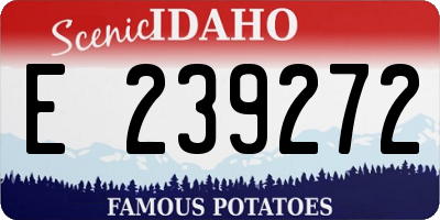 ID license plate E239272