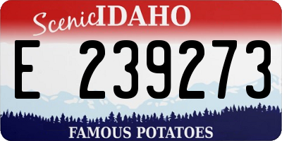 ID license plate E239273