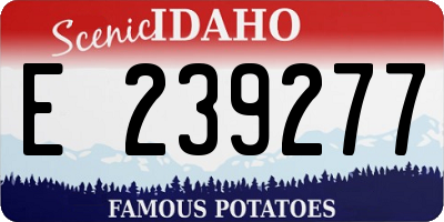 ID license plate E239277