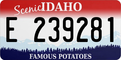 ID license plate E239281