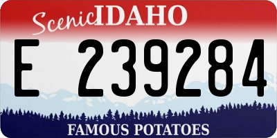 ID license plate E239284