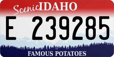 ID license plate E239285