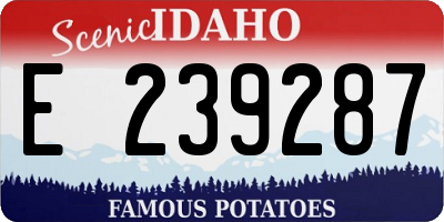 ID license plate E239287