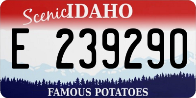 ID license plate E239290